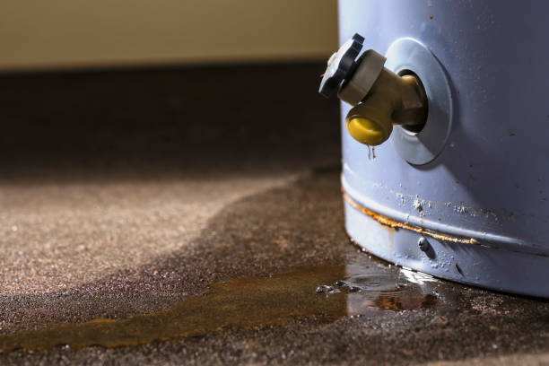 Best Water damage restoration near me  in Crown Pot, IN