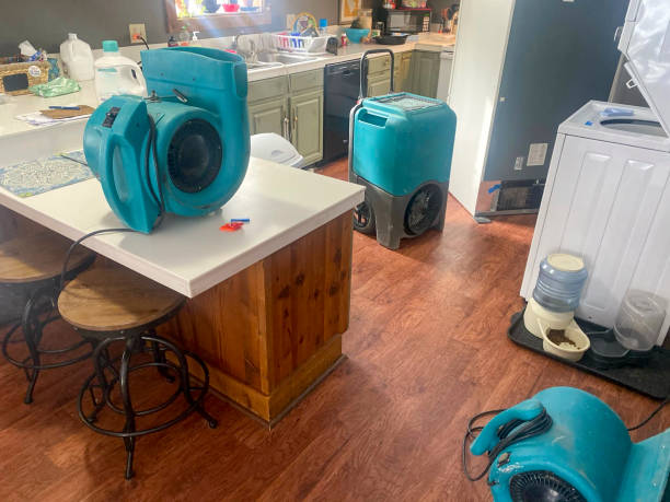 Best Emergency water damage restoration  in Crown Pot, IN