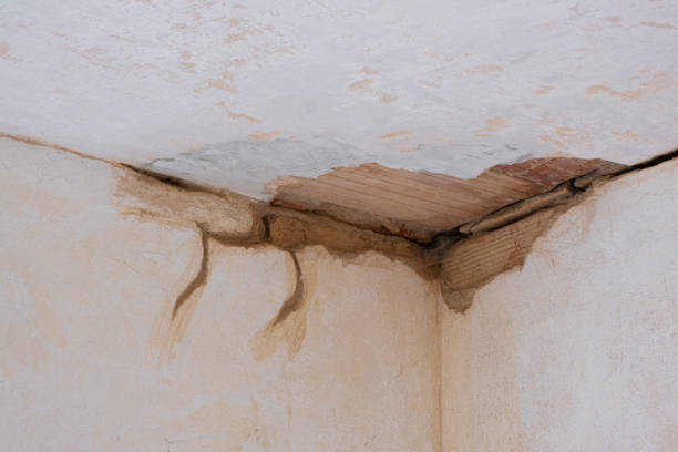 Best Commercial water damage restoration  in Crown Pot, IN