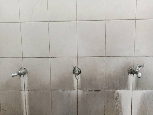 Best Sewage cleanup and water damage restoration  in Crown Pot, IN