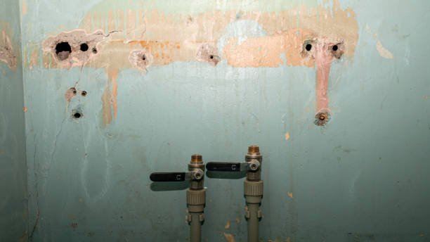Best Residential water damage restoration  in Crown Pot, IN