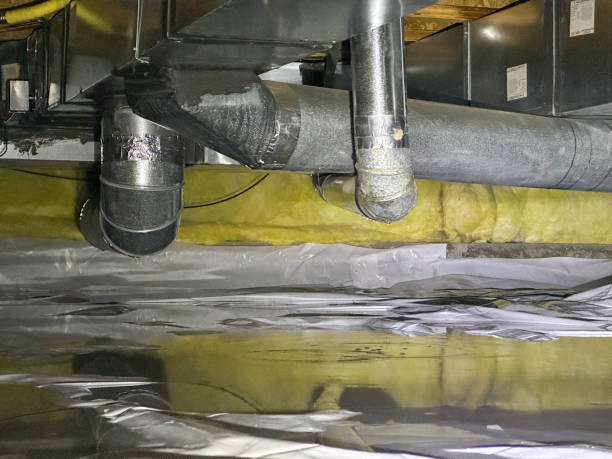 Carpet water damage restoration in Crown Point, IN