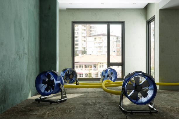 Best Basement water damage restoration  in Crown Pot, IN