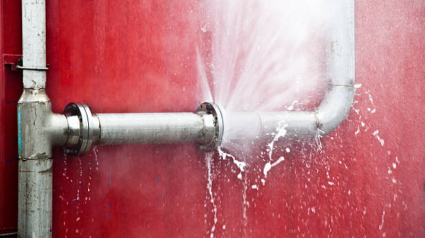 Best Mold removal after water damage  in Crown Pot, IN